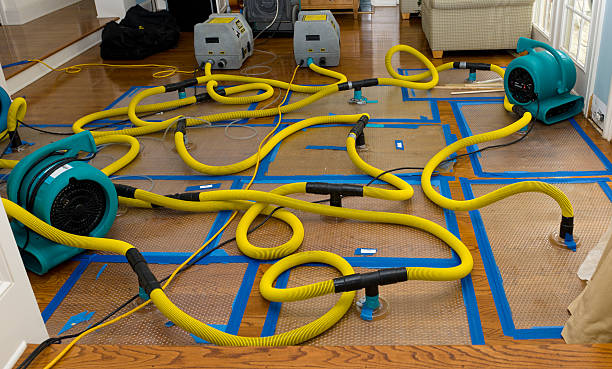Professional Flood Damage Restoration technician working in Bruno, WV