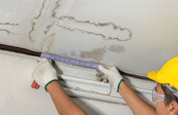 Affordable Water Damage Repair solutions in Bruno, WV